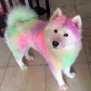 Meet your Posher, Xåvier